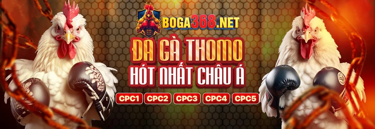 Hình ảnh bảng điều khiển quản lý tùy chọn cookie và dữ liệu người dùng tại vclub khuyến mãi